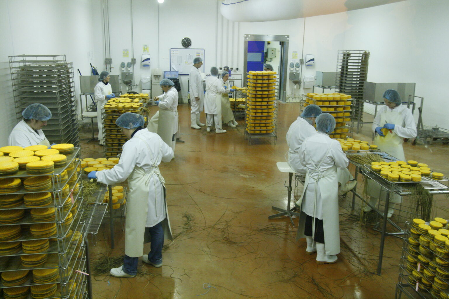Besichtigung einer Käserei im Calvados „Livarot“