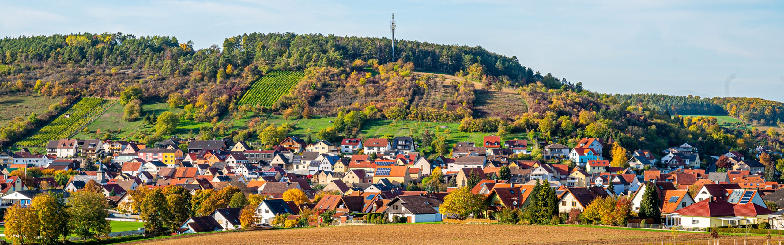 56dfa09147c59a459b47a38a2071525f-min