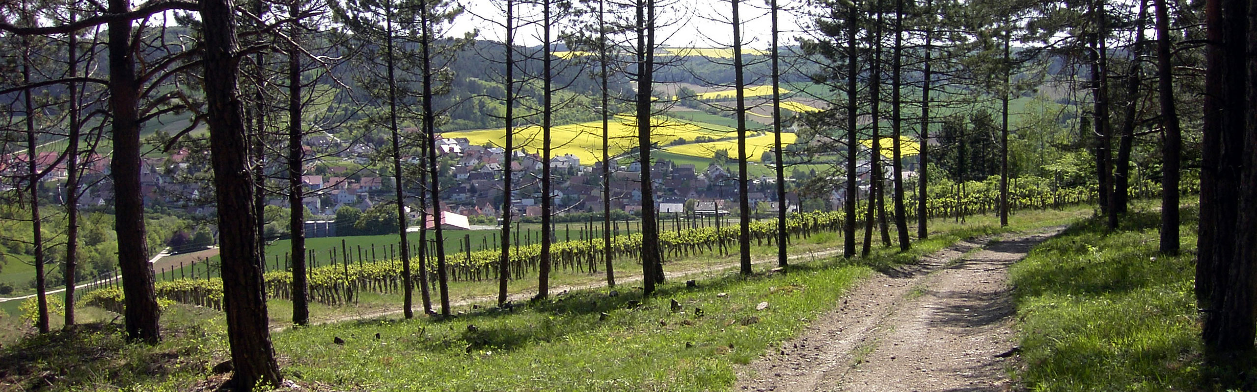 87ebc46a2a74d0e8ea715a13a8033669-min